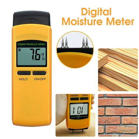 using a moisture meter in a caravan|professional caravan damp meter.